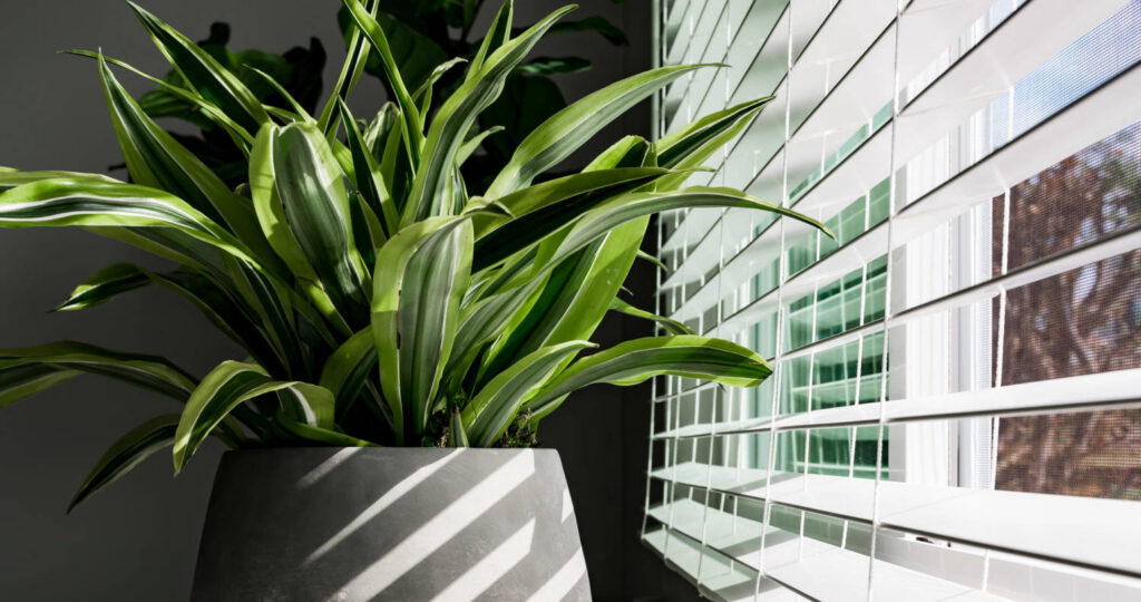 Greenhouse Coalition Launches #StayPlanted Initiative