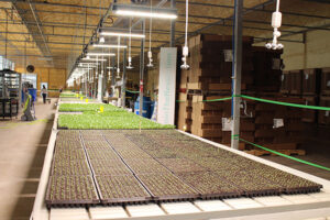 Revolution Farms Seeding
