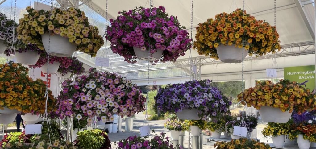 Coming to a Garden Near You …