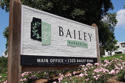 Bailey Nurseries’ McEnaney Receives Honor