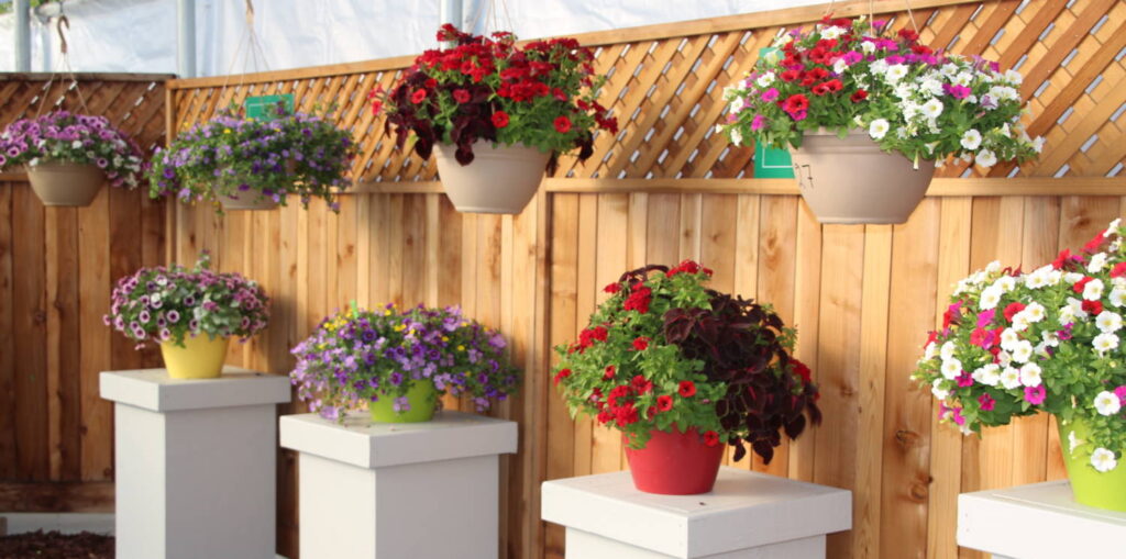 Additional Exhibitors Pull Out of CAST