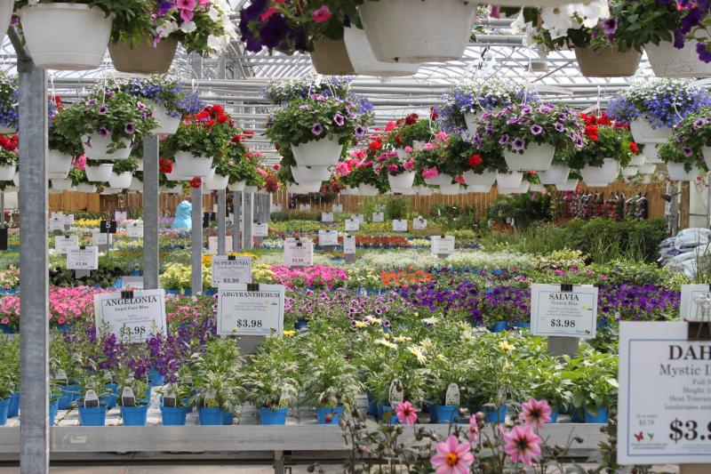 Millennials Mean Business