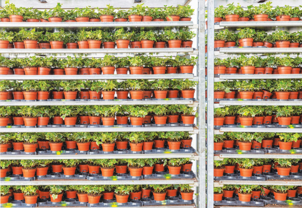 Software simplifies inventory and logistics