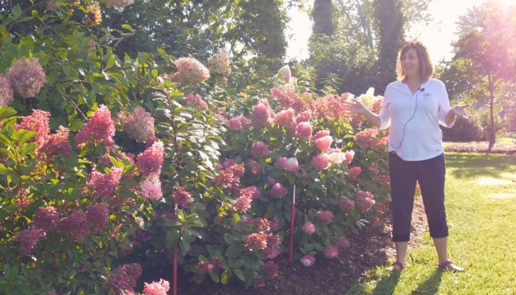 Proven Winners to Present Landscape Webinar Series