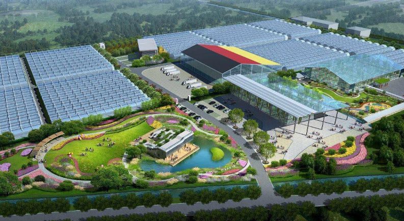 Benary Forms Joint Venture in China