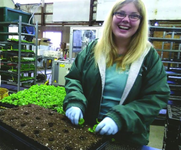 Growing Plants and Relationships — Karen Schneck 2018