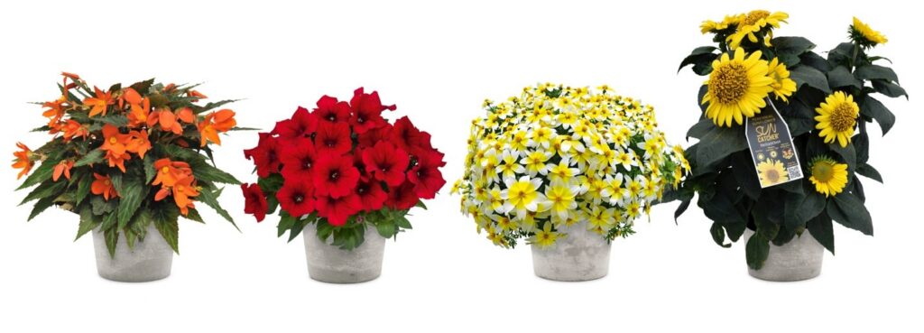 Kientzler North America Announces CAST ’22 Plans