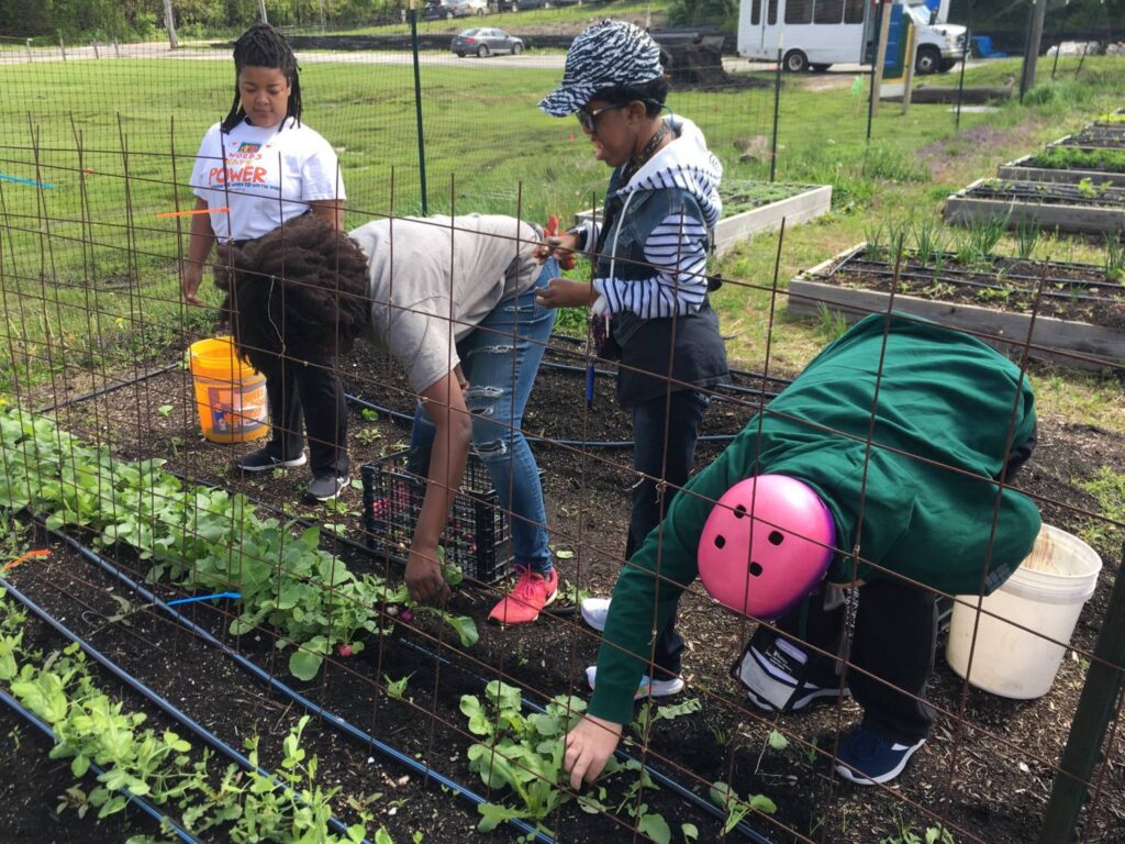 Voting Open for National Garden Bureau’s Therapeutic Garden Grant