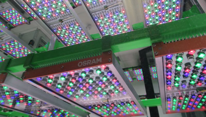 Sole-Source Lighting of Plants