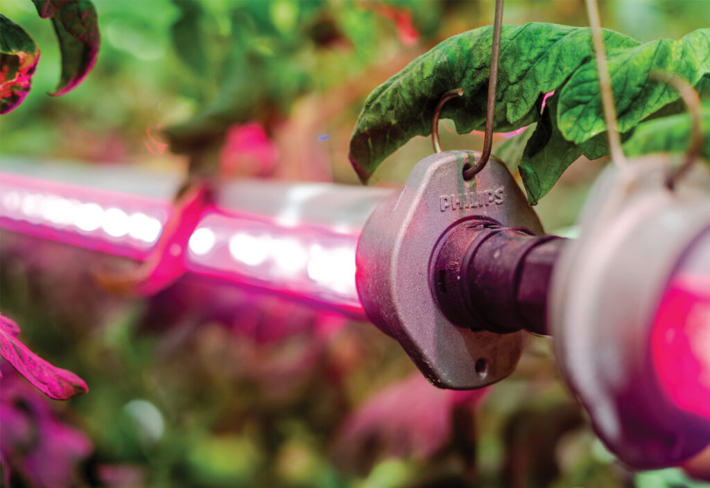 Latest solutions for optimal greenhouse growing