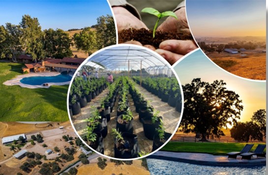 Estrella River Farms Obtains 9 Additional Cannabis Licenses