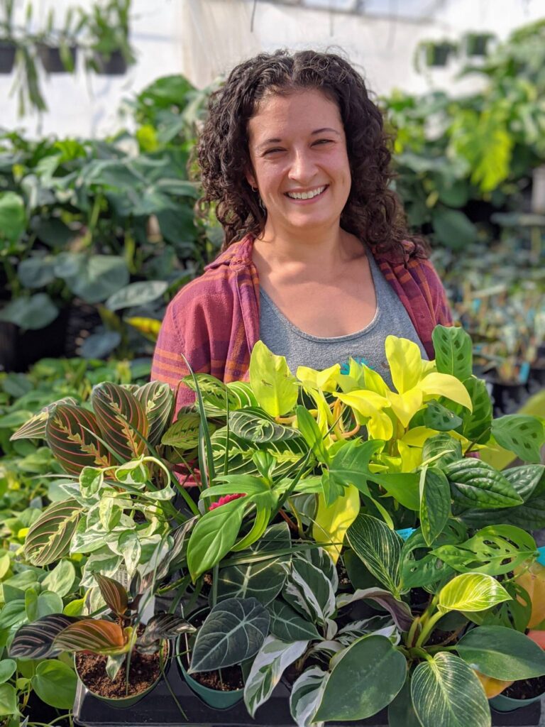 Considering E-Commerce?