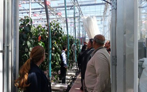 LumiGrow Shares LED Research