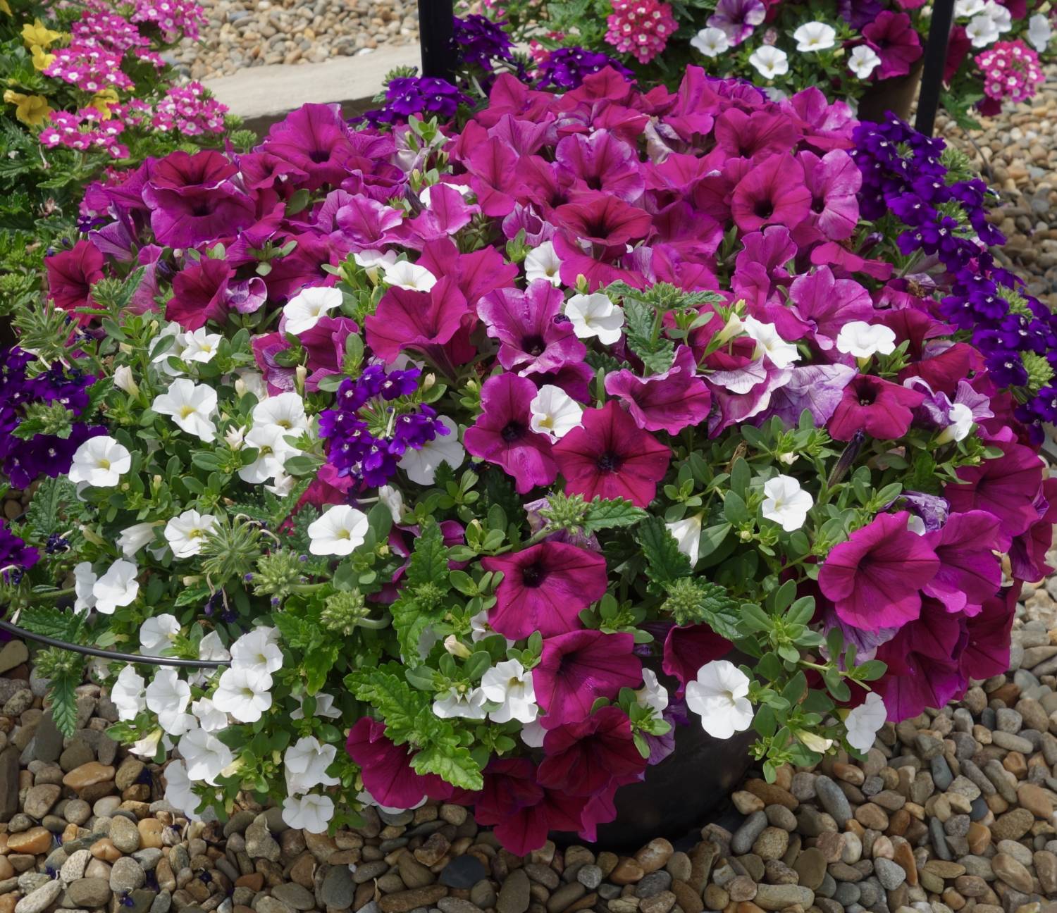 Ball FloraPlant MixMasters