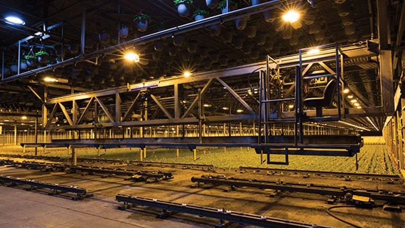 Investing in Innovation at Metrolina Greenhouses