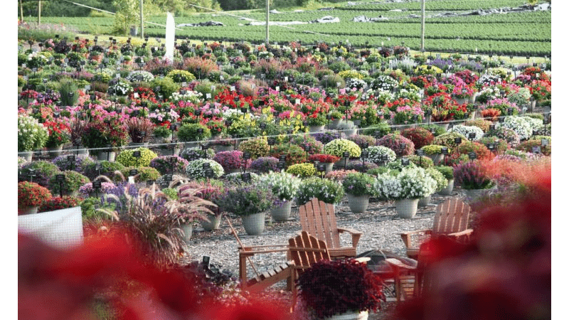 Mast Young Plants Releases 2022 Trial Garden Report
