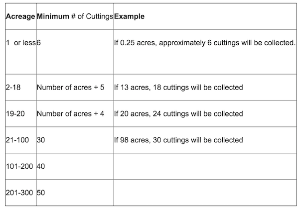 Industrial Hemp Harvest Season Reminders for Michigan Growers