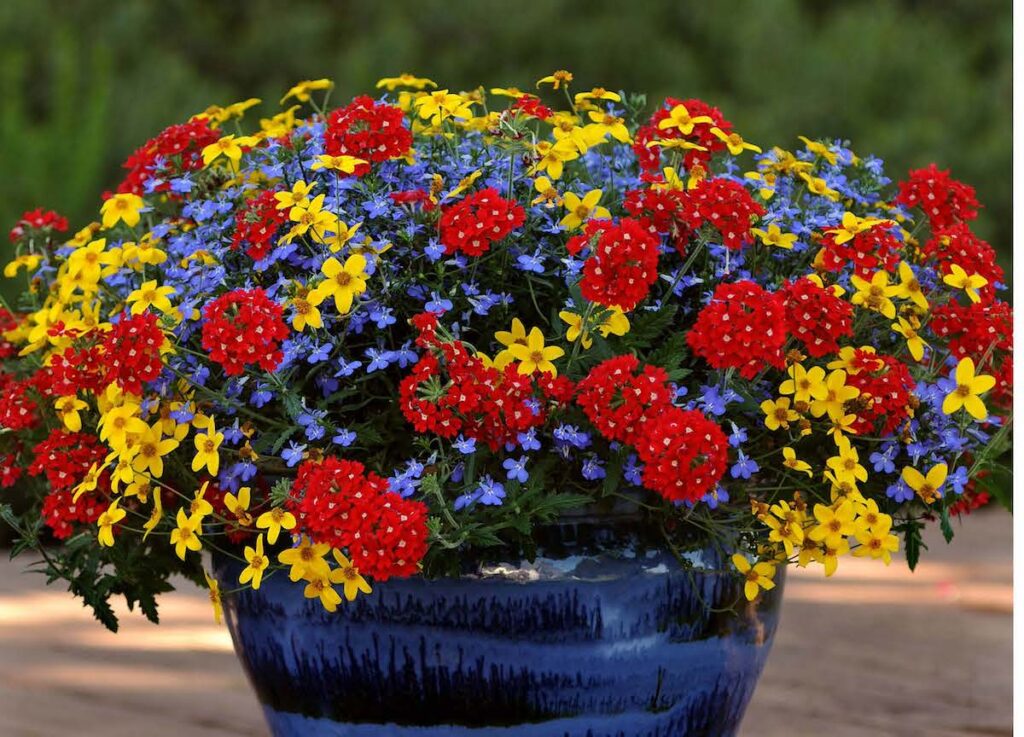 Grow Successful Combos Using Color and Best Practices