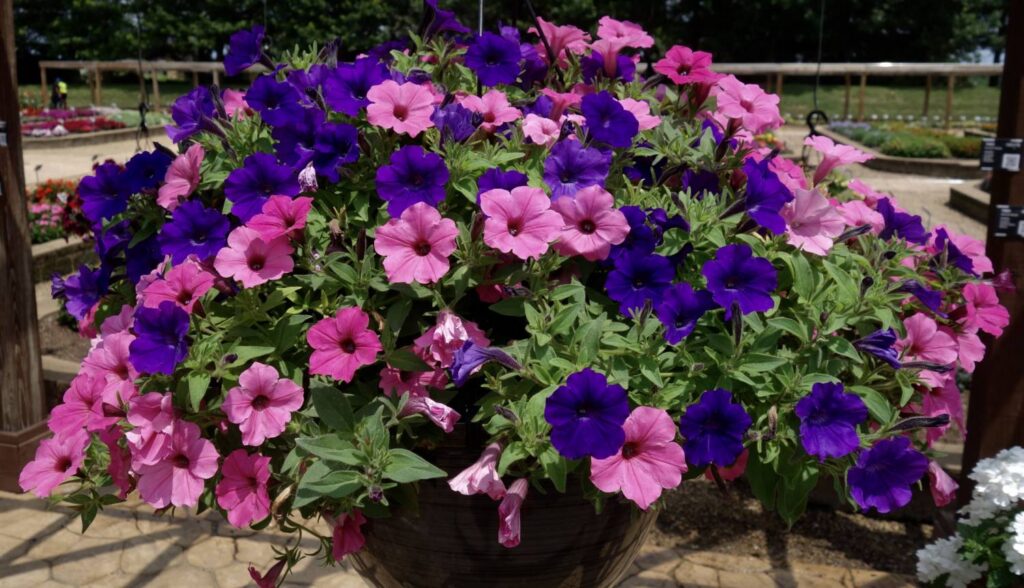 Colorful Combination Baskets