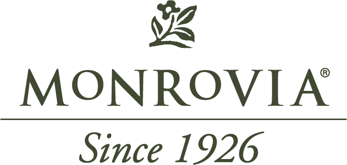 Monrovia to leave New England property