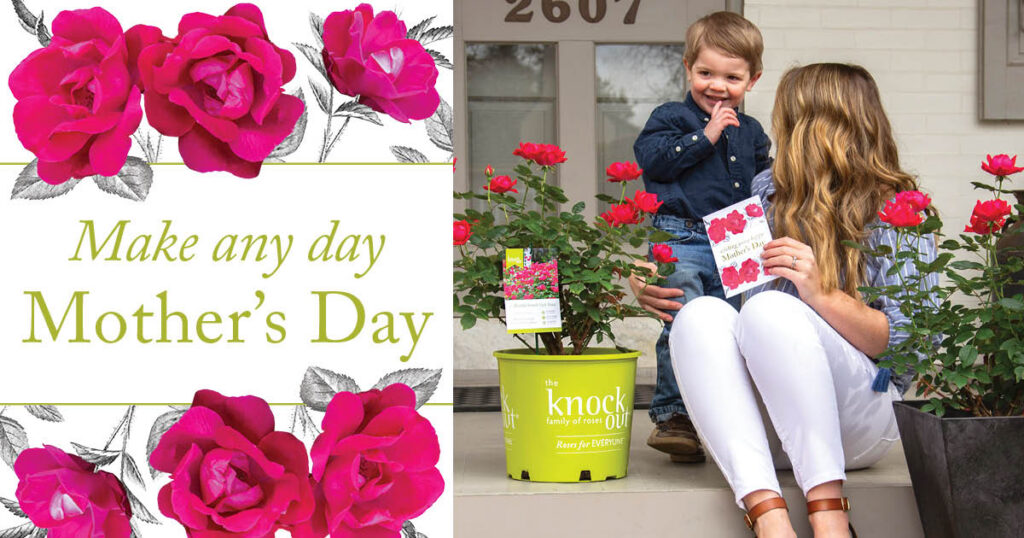 Star Roses and Plants Launches “Make Any Day Mother’s Day” Campaign