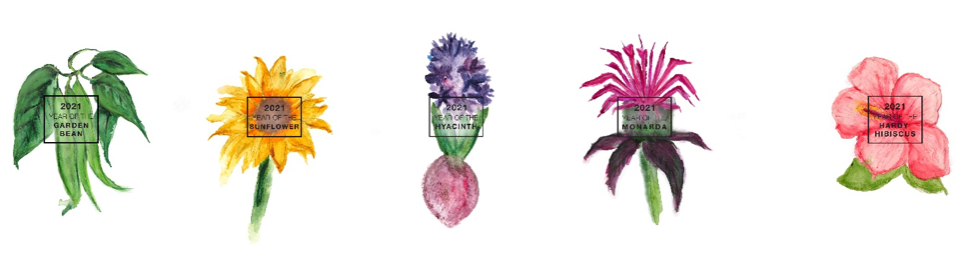 NGB Now Offering Marketing Materials for ’21 ‘Year of’ Program