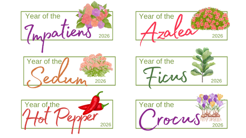 NGB announces 2026 “Year of the” genera