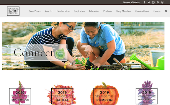 NGB Website Wins International Award
