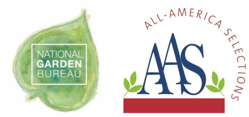 AAS Elects New Officers and Director, NGB Adds New Board Member