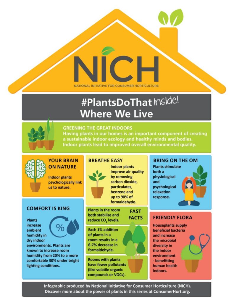 Plant Benefits Infographics Available from NICH