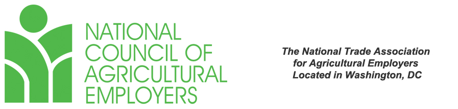 NCAE in search of new president and CEO