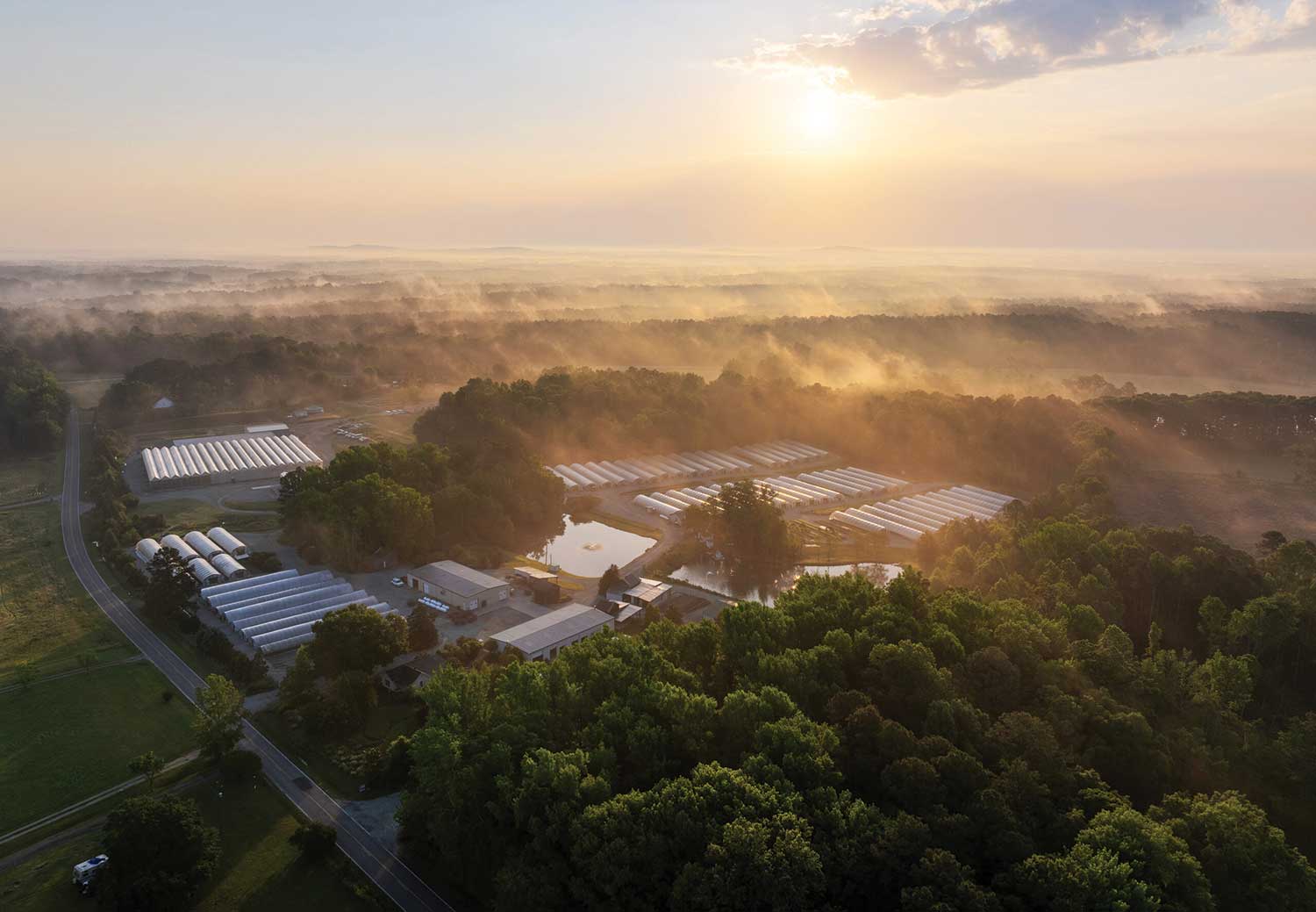 Photo taken by drone of overview greenhouses