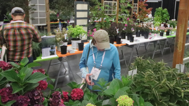 Farwest Show 2025 highlights awards and new introductions