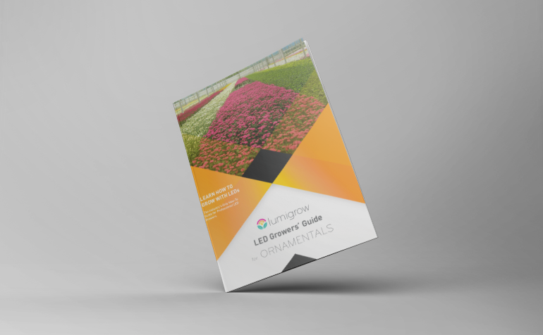 LED Growers’ Guide for Ornamentals Now Available