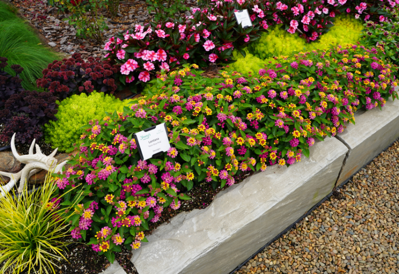 When it comes to controlling ornamental plant growth, growers have options