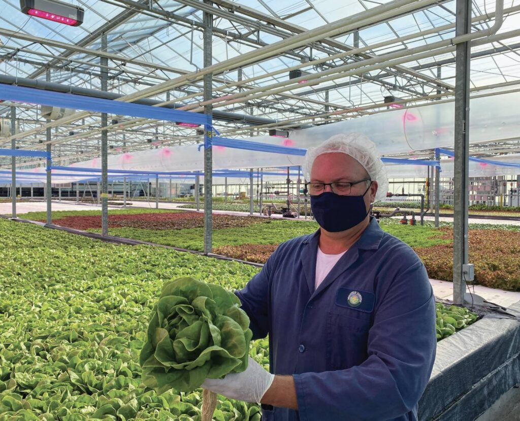 How Well Is Your Company Handling the Pandemic? 