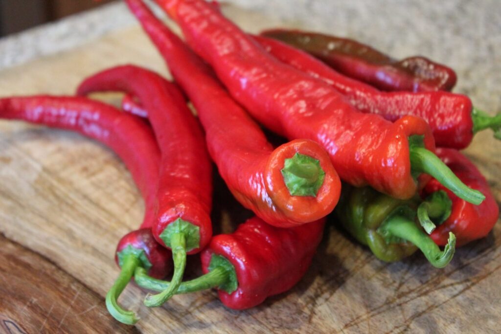Pepper cayenne Wildcat F1