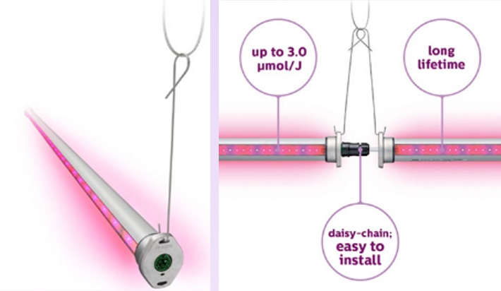 Philips Lighting North America Introduces GreenPower LED Interlighting