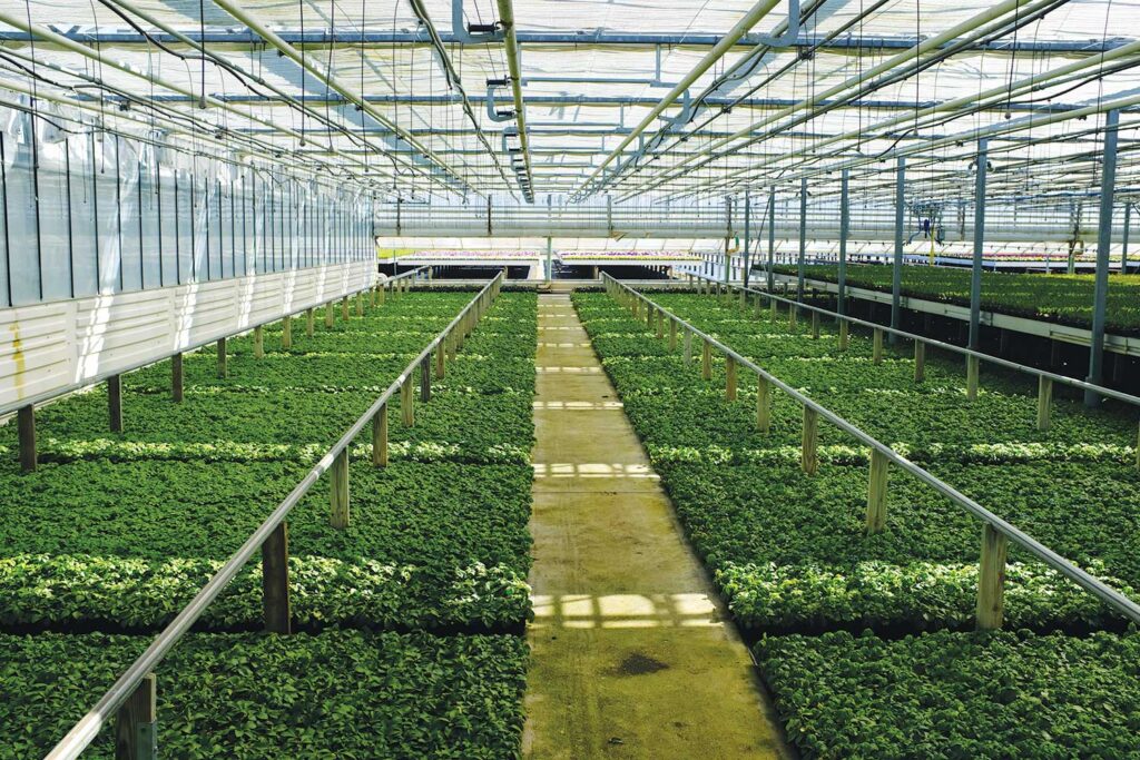 Rethinking space beyond new greenhouse builds