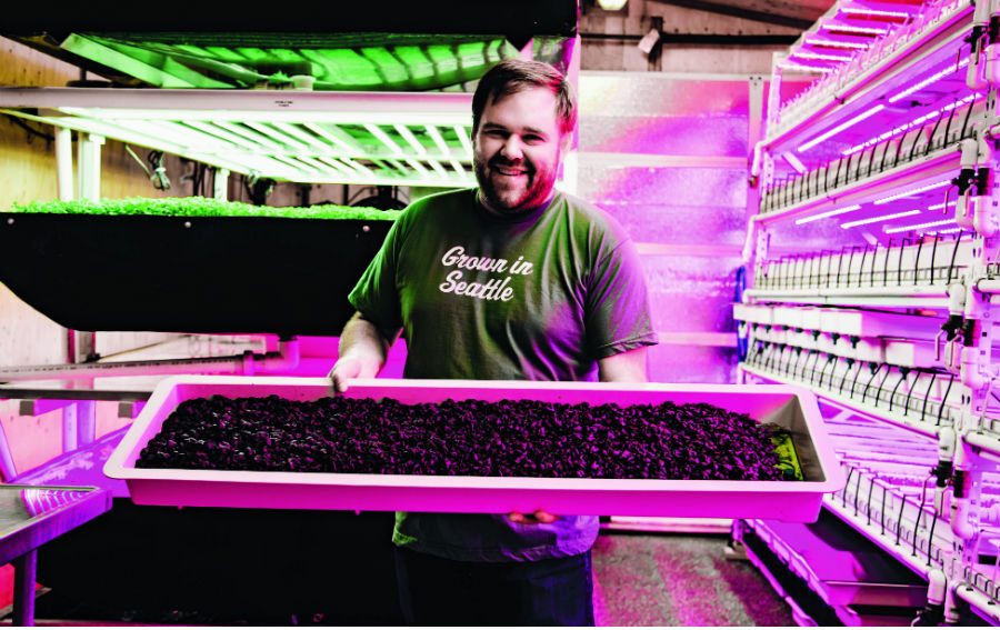 Using Vertical Farming to Supply Locally Grown Produce