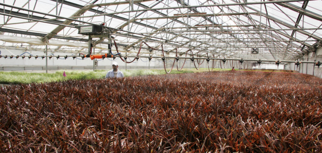 Choosing the Right Environmental Control System