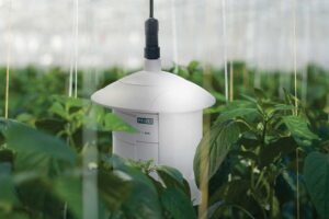 A climate control monitoring apparatus from Priva surrounded by plants