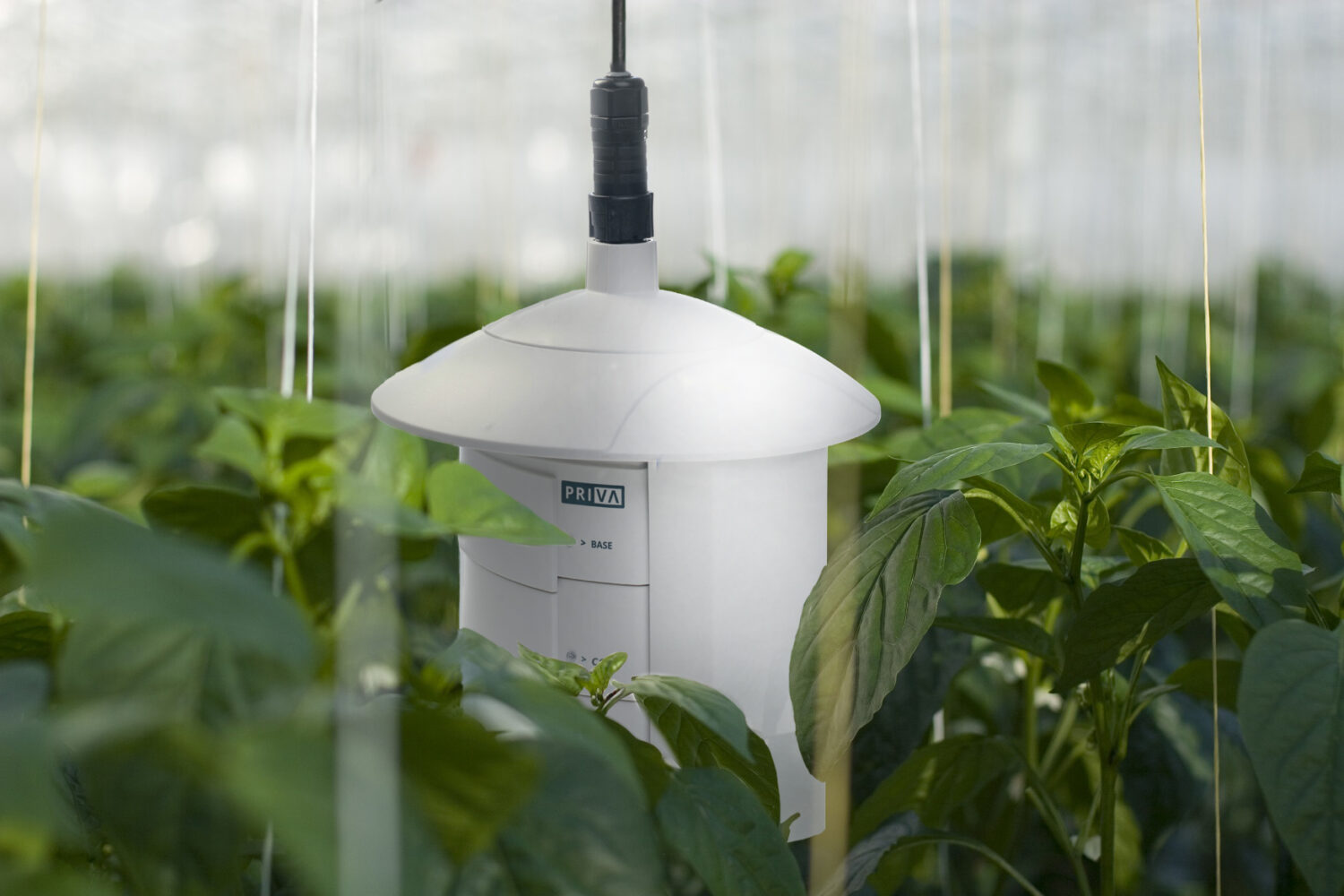 An environmental control monitor within a greenhouse