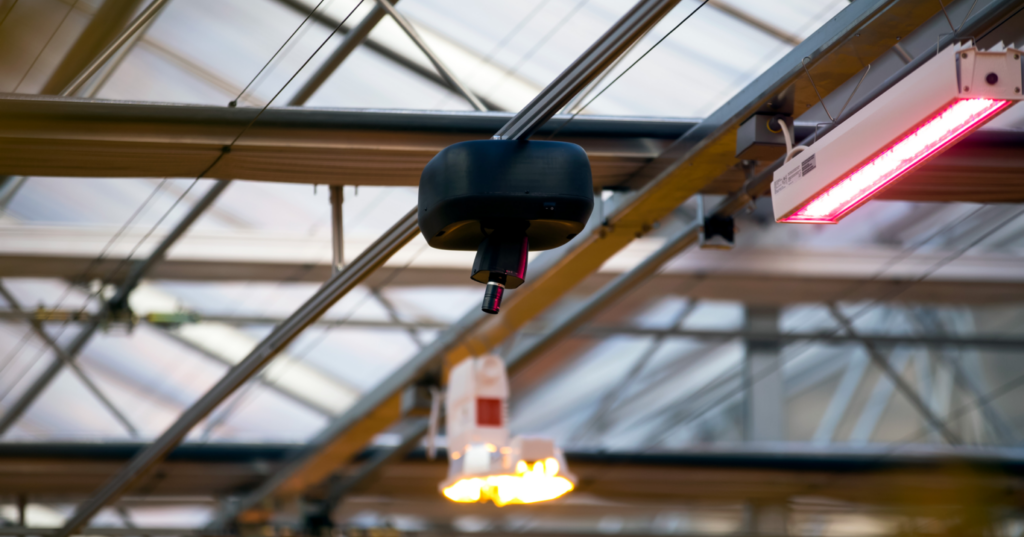 How Soon Will You Be Using AI in Controlled Environment Production?