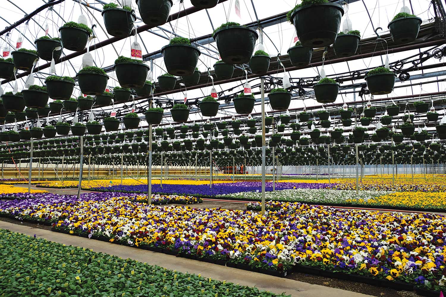 Growers who are only producing a single layer of crops are missingout on the additional production space of overhead production.