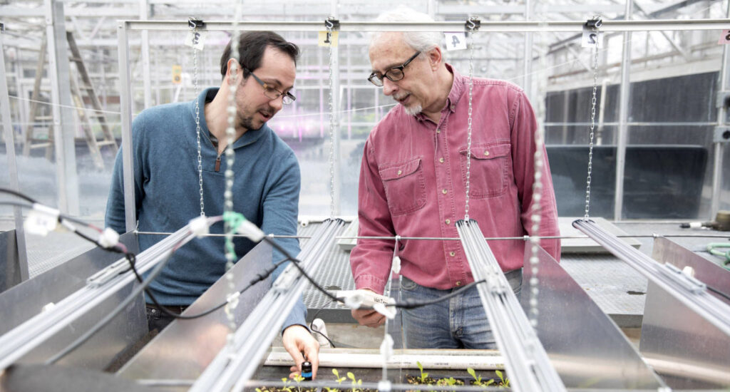 Roots, Shoots & Environmentals — Part 3