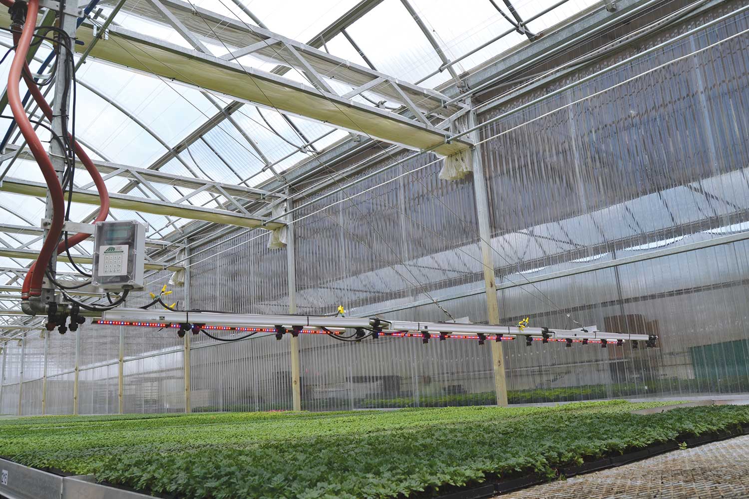 One feature that many greenhousegrowers want with their LED grow lights is the ability to dim the light to accommodate seasonal light levels. Photo by David Kuack.