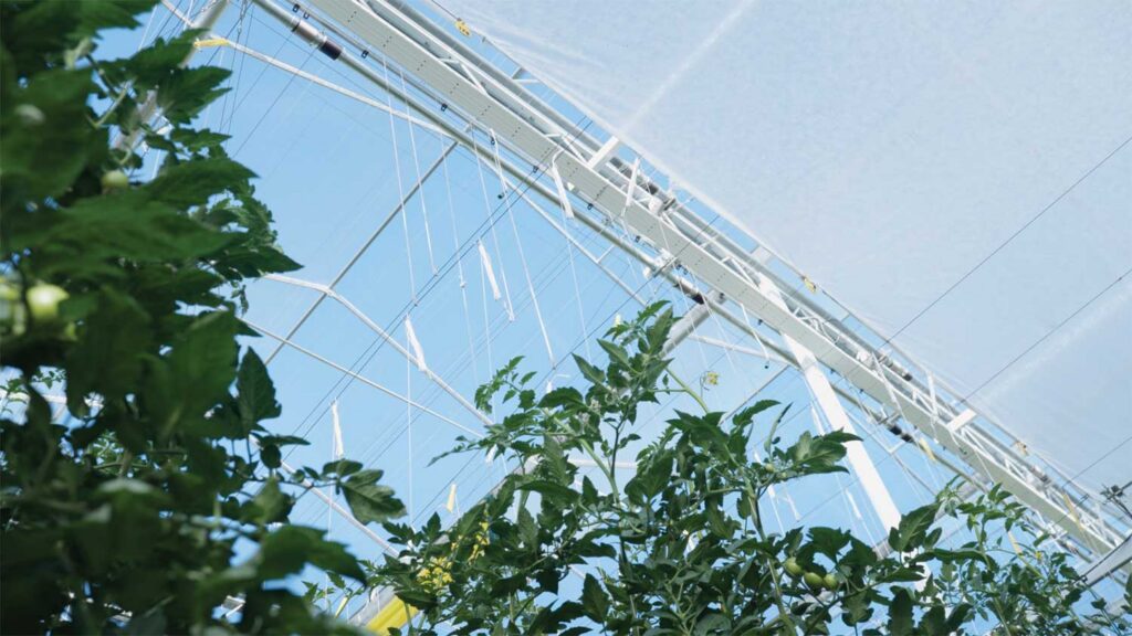 Source.ag launches AI for plant metrics, greater crop health