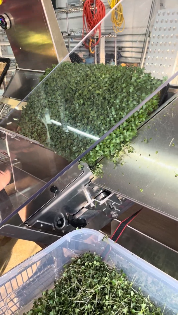 Equipment used to harvest microgreens