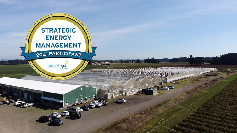 Strategic Efficiencies Developed for Cannabis, Hemp Greenhouse Cultivation